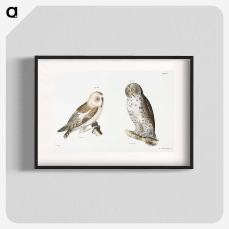 1-38_Zoology-of-New-York_blk