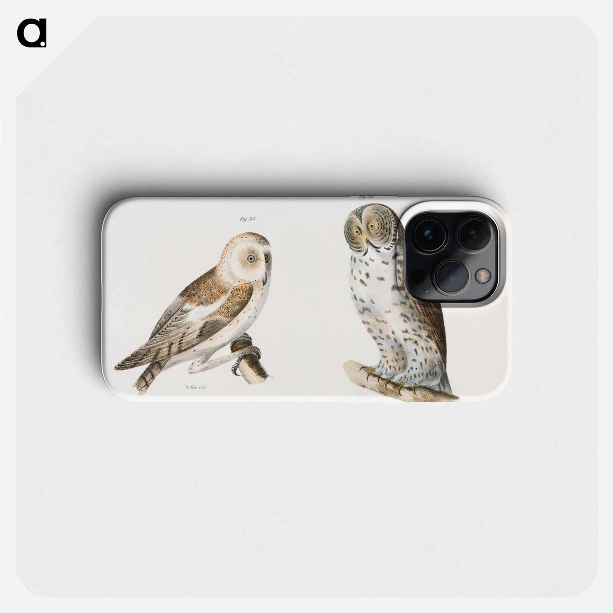 The American Barn Owl (Strix pratincola)  The Great Gray Owl (Syrnium cinereum) - ニューヨークの動物学 Phone Case.