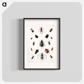 アートポスター-Colored beetles, landscape - アボット ハンダーソン セイヤー Poster.