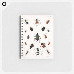 アートメモ帳-Colored beetles, landscape - アボット ハンダーソン セイヤー Memo.