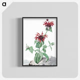 1-39_Aert-Schouman_blk-crop