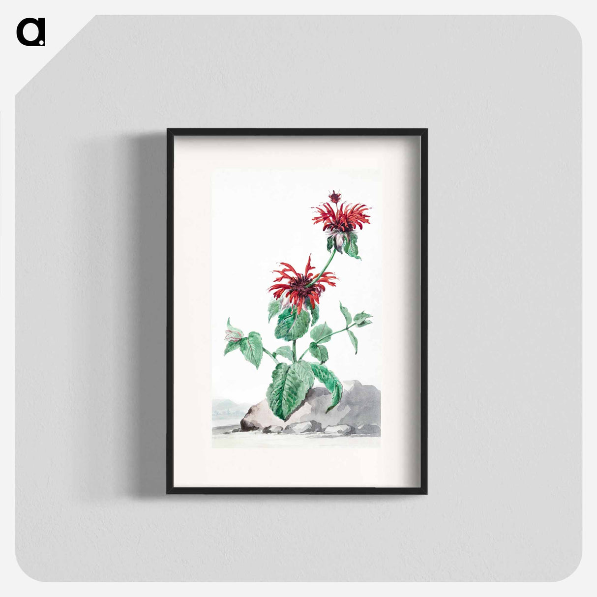 A Red Bergamot in a Landscape - アールト シューマン Poster.