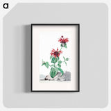 A Red Bergamot in a Landscape - アールト シューマン Poster.