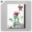 1-39_Aert-Schouman_canvas
