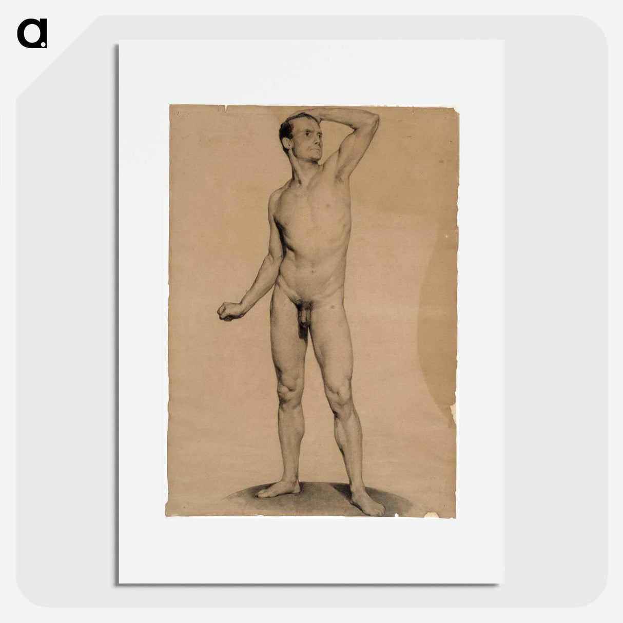 Nude male model, academy study - アルバート エーデルフェルト Poster.
