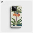 1-39_Anselmus-Boetius-de-Boodt_phone