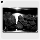 1-39_Apollo-Moon-Landing_picture-crop