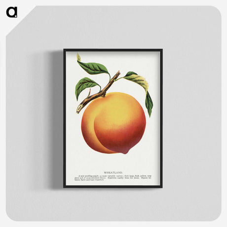 1-39_Botanical-Specimen-Plates_blk-crop