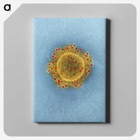 1-39_COVID-19_canvas
