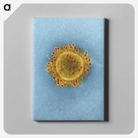 1-39_COVID-19_canvas