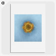 1-39_COVID-19_picture