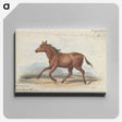 1-39_Charles-Hamilton-Smith_canvas