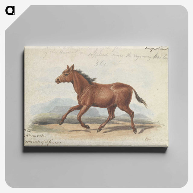 1-39_Charles-Hamilton-Smith_canvas