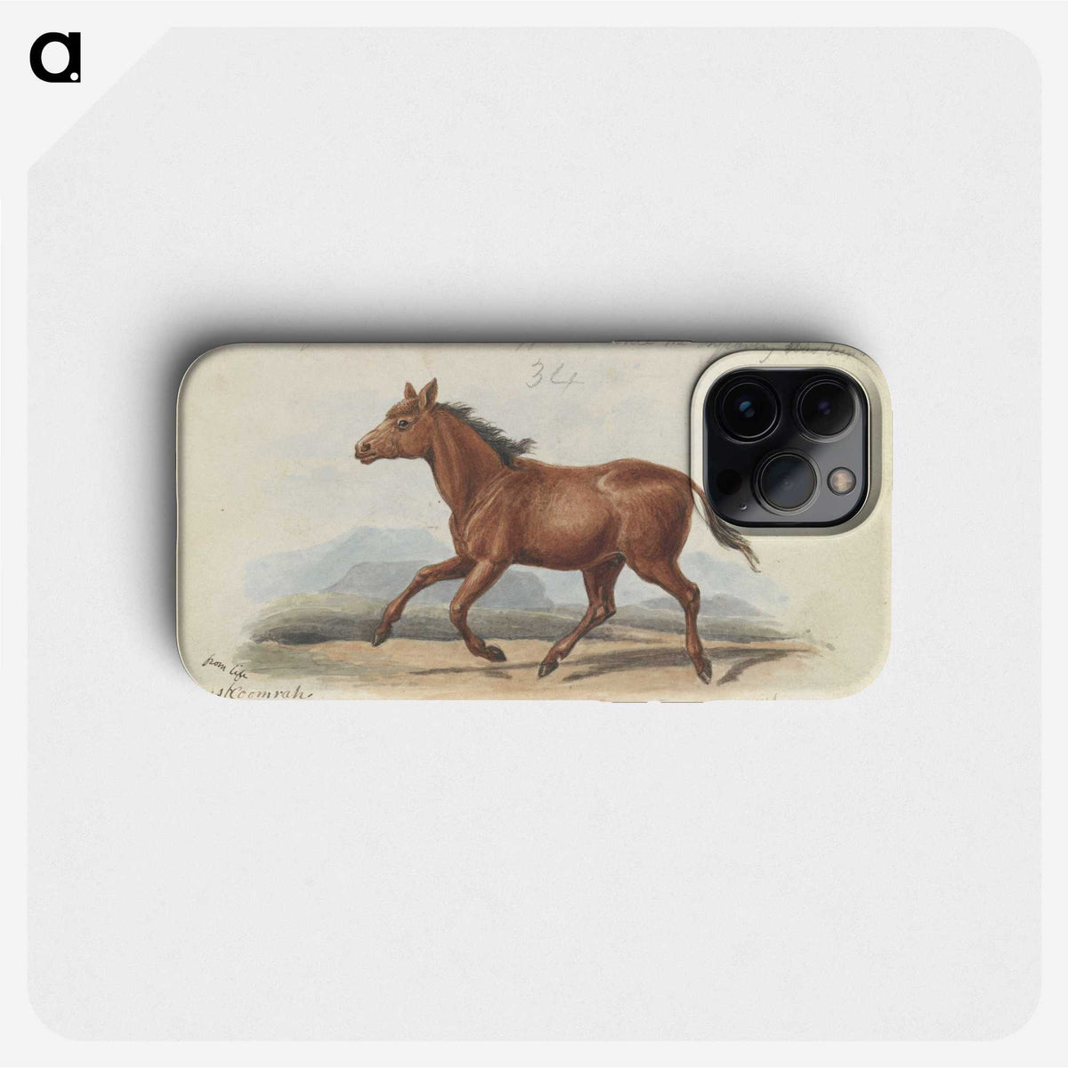 1-39_Charles-Hamilton-Smith_phone