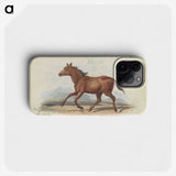 1-39_Charles-Hamilton-Smith_phone