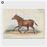 1-39_Charles-Hamilton-Smith_picture-crop