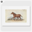 1-39_Charles-Hamilton-Smith_picture