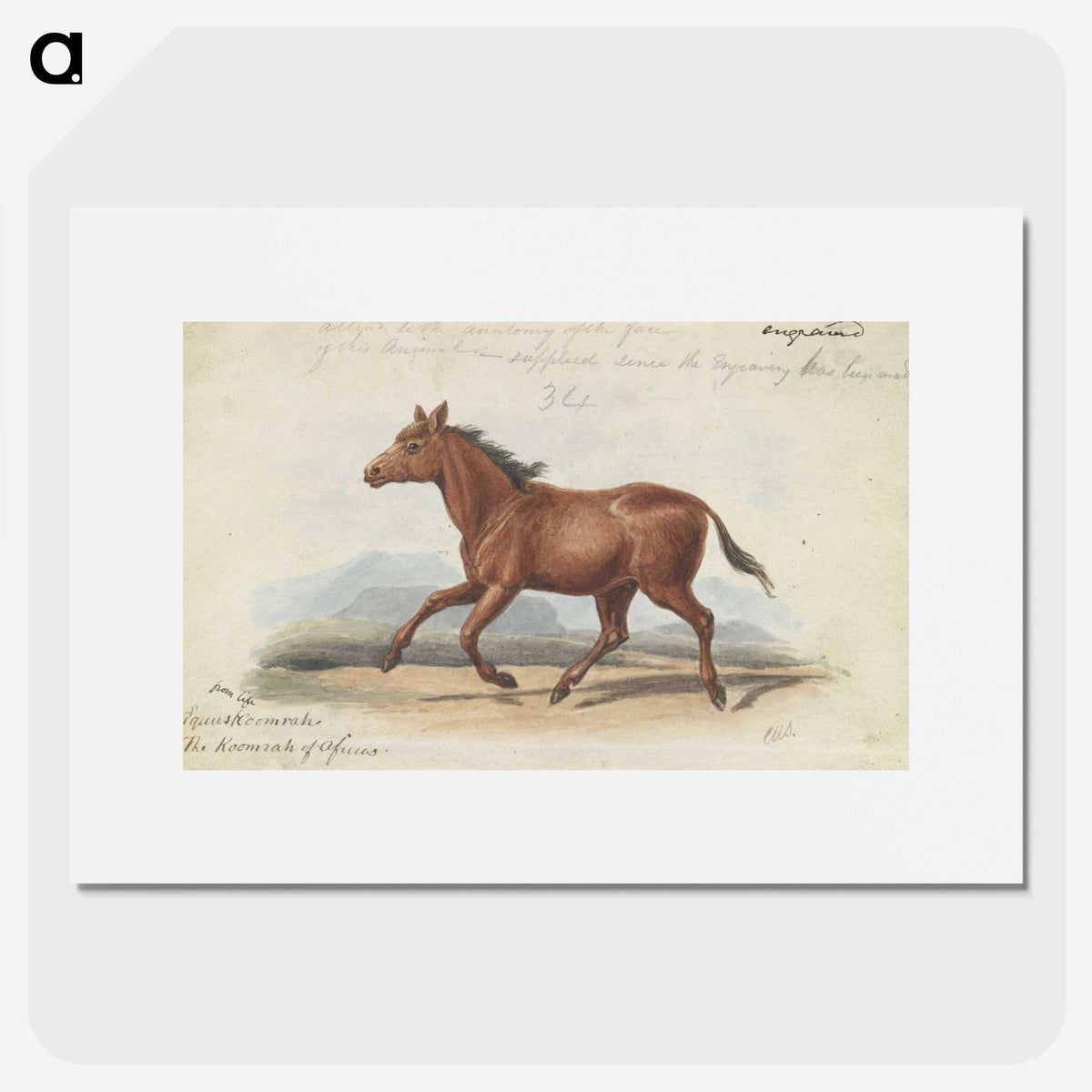 1-39_Charles-Hamilton-Smith_picture