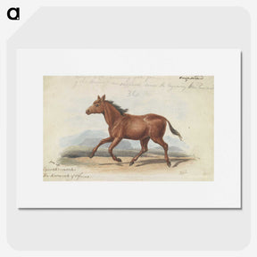 1-39_Charles-Hamilton-Smith_picture