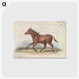 1-39_Charles-Hamilton-Smith_postcard
