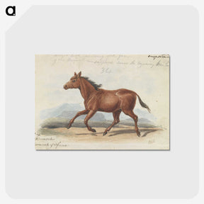 1-39_Charles-Hamilton-Smith_postcard