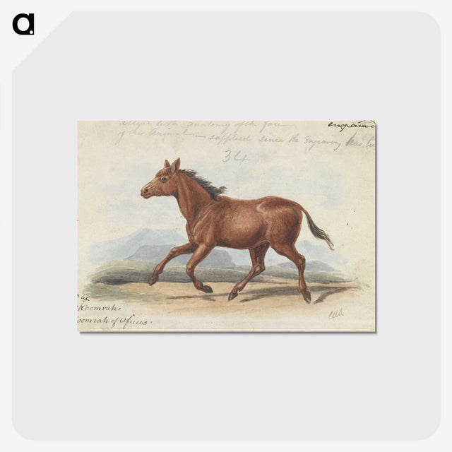 1-39_Charles-Hamilton-Smith_postcard