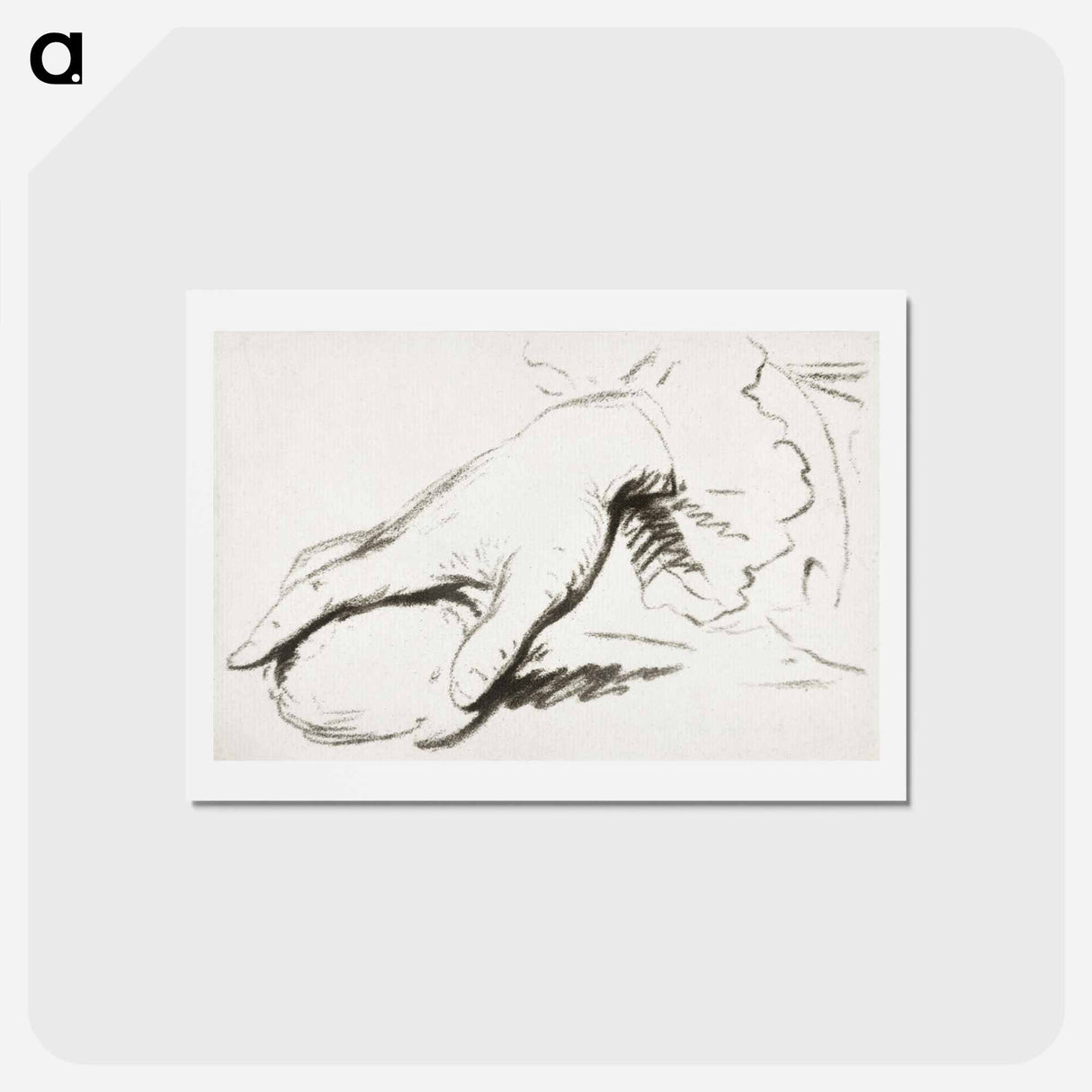 アートポストカード-Hand met rond voorwerp
 - コルネリス プロース ファン アムステル Postcard.