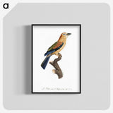 1-39_Des-Oiseaux-de-Paradis_blk-crop