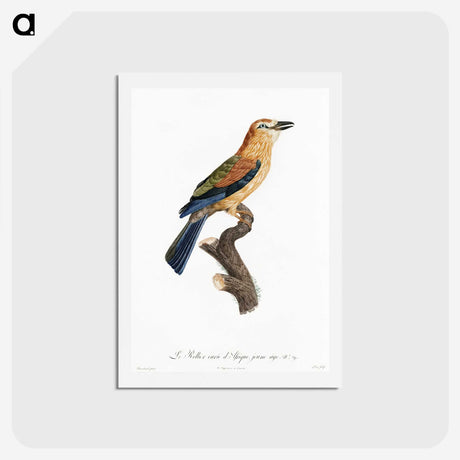 1-39_Des-Oiseaux-de-Paradis_hagaki