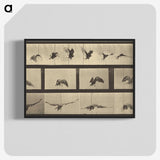 1-39_Eadweard-Muybridge_blk-crop
