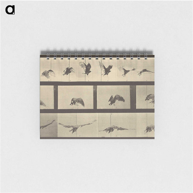 1-39_Eadweard-Muybridge_memo