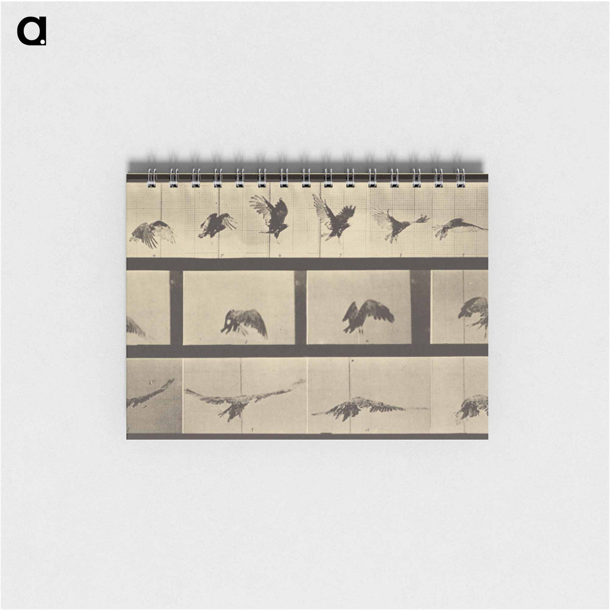 アートメモ帳-Animal Locomotion
 - エドワード マイブリッジ Memo.