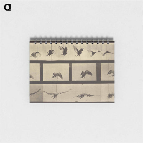 アートメモ帳-Animal Locomotion
 - エドワード マイブリッジ Memo.