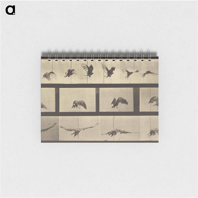アートメモ帳-Animal Locomotion
 - エドワード マイブリッジ Memo.