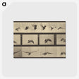 1-39_Eadweard-Muybridge_postcard