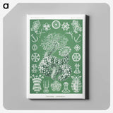 1-39_Ernst-Haeckel_canvas