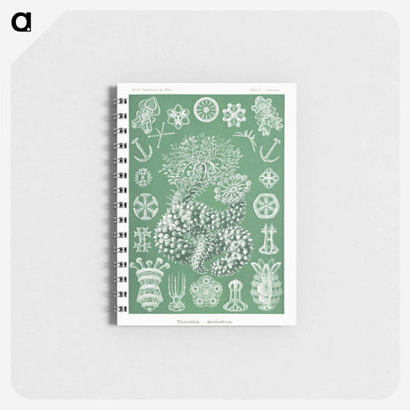 1-39_Ernst-Haeckel_memo