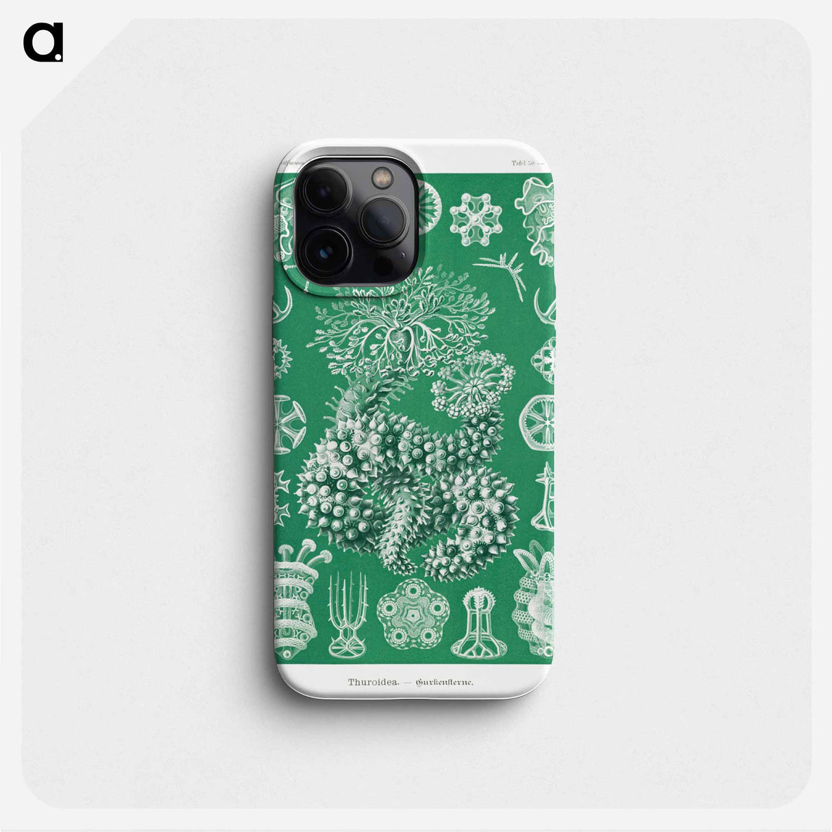 Thuroidea–Gurkensterne - エルンスト ヘッケル Phone Case.