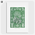 1-39_Ernst-Haeckel_picture
