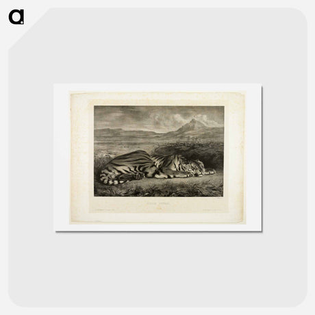 アートポストカード-イエロー - ウジェーヌ ドラクロワ Postcard.