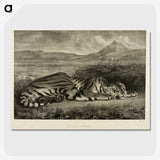 1-39_Eugene-Delacroix_picture-crop