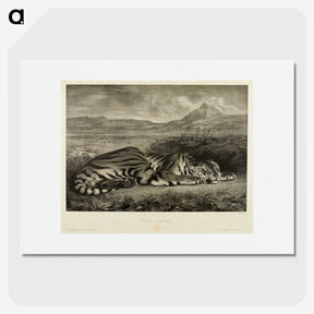 1-39_Eugene-Delacroix_picture