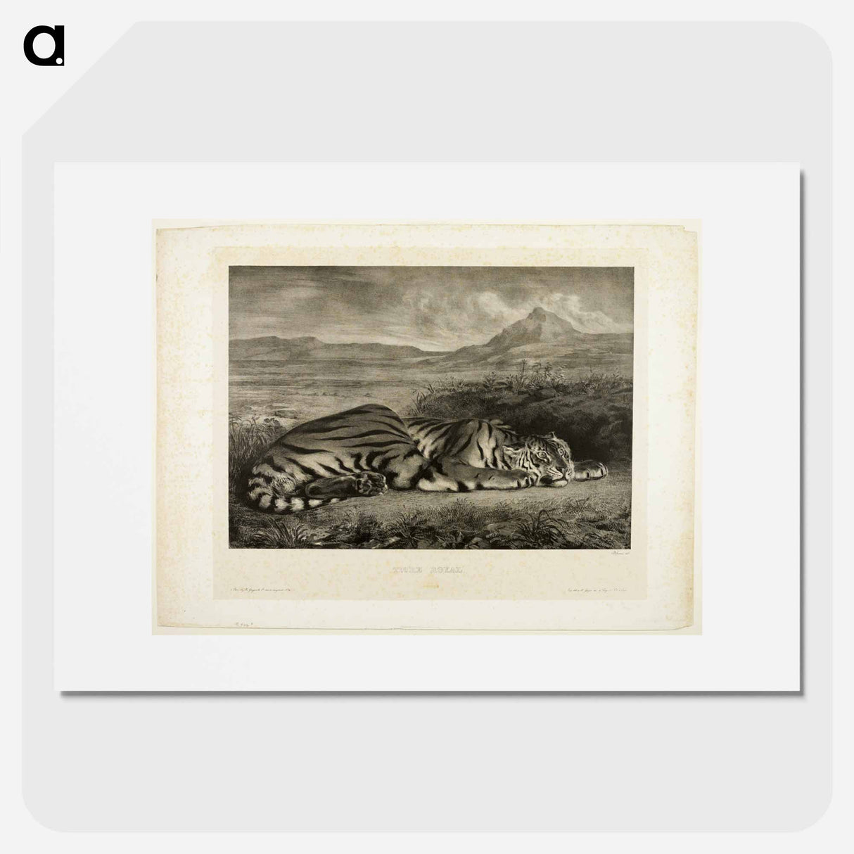 Bengal Tiger - ウジェーヌ ドラクロワ Poster.