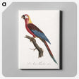 1-39_Francois-Levaillant_canvas