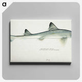 1-39_Frank-Edward-Clarke_canvas