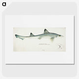 1-39_Frank-Edward-Clarke_picture