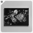 1-39_Frederick-Charles-Brockett_canvas