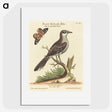 1-39_George-Edwards_picture