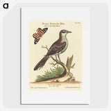 1-39_George-Edwards_picture