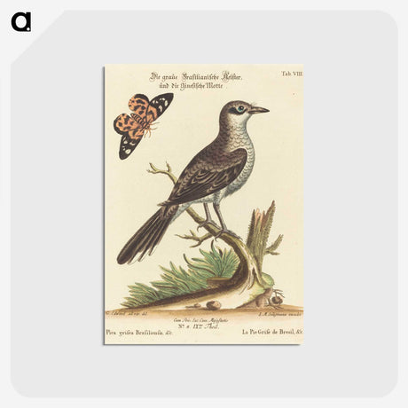 1-39_George-Edwards_postcard